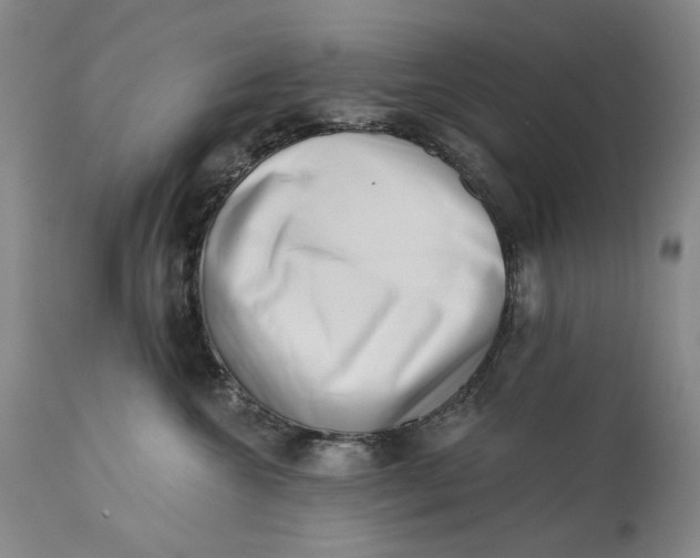 X0000113200572200910011259