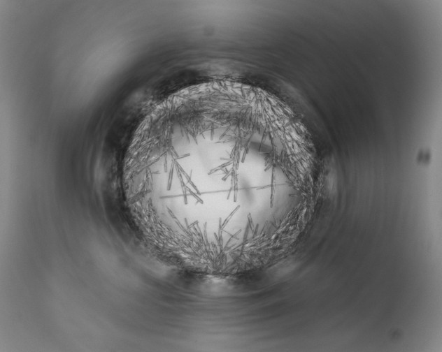 X0000113200573200910011259