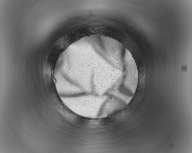 X0000113200574200910011259