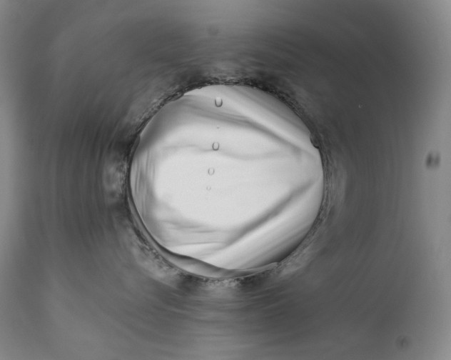 X0000113200576200910011259