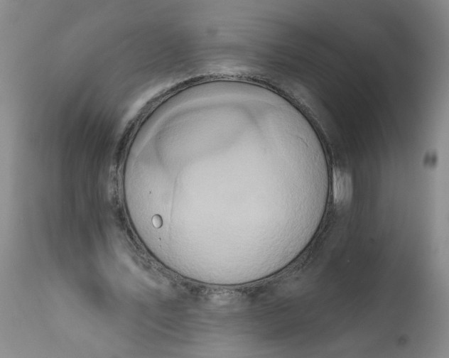 X0000113200579200910011258