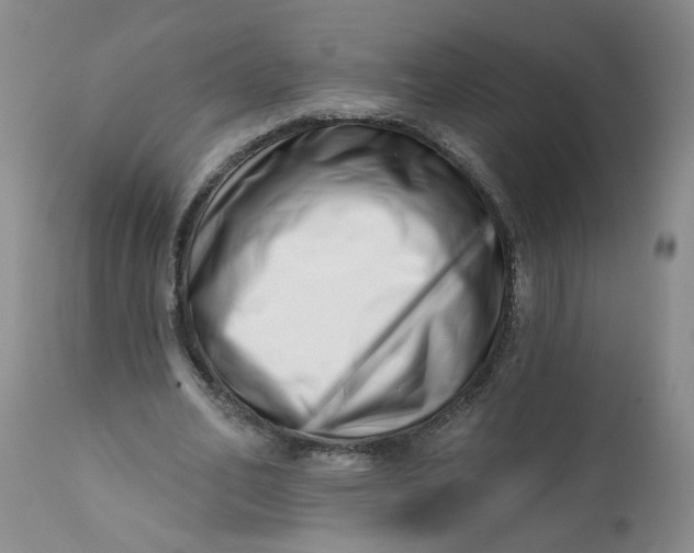 X0000113200582200910011258