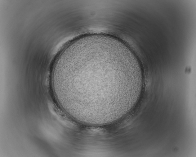 X0000113200583200910011258