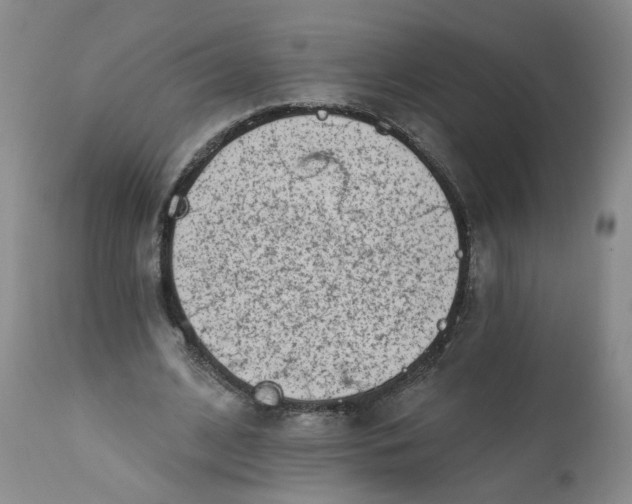 X0000113200584200910011258