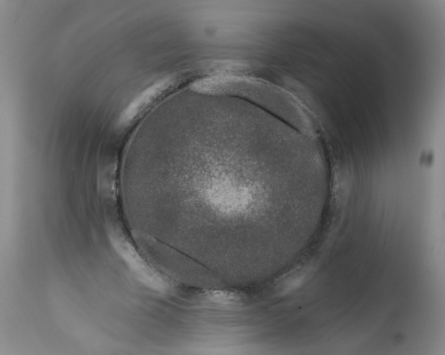 X0000113200585200910011258