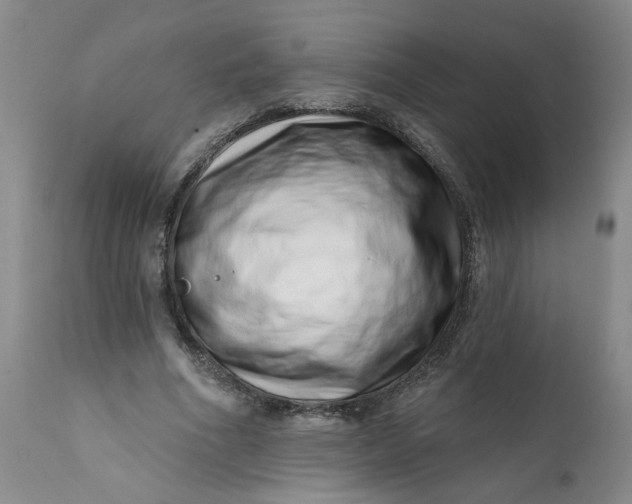 X0000113200586200910011258