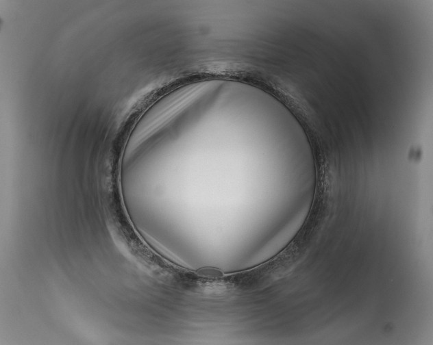 X0000113200587200910011258