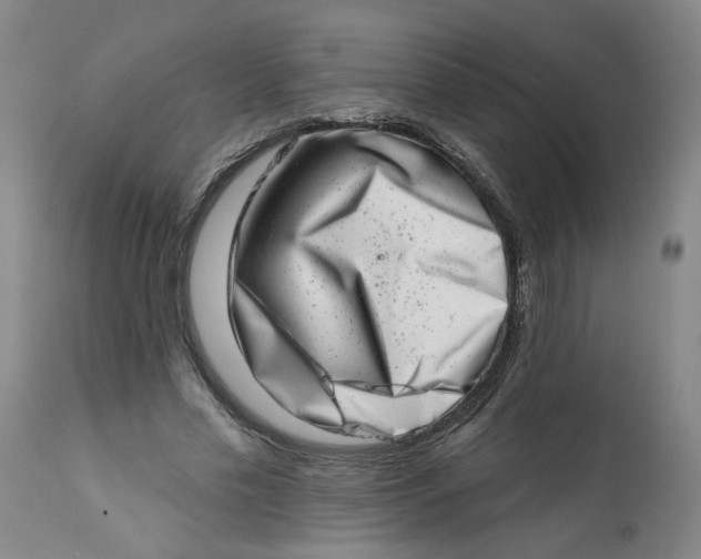 X0000113200589200910011258