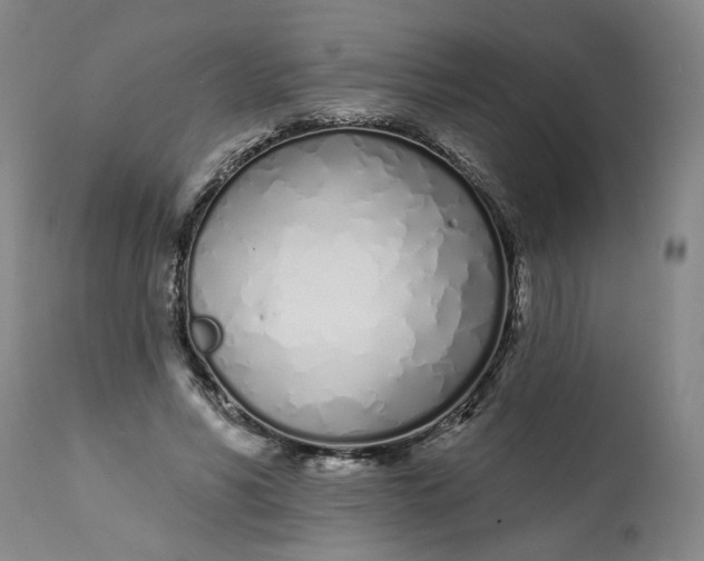 X0000113200590200910011258