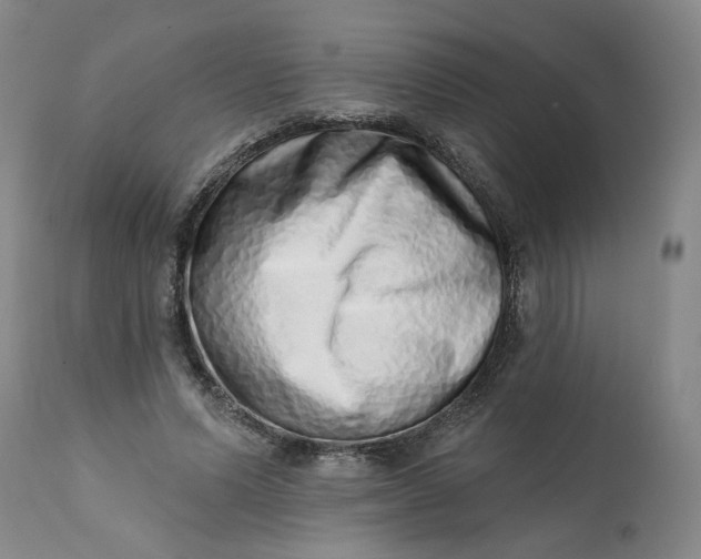 X0000113200591200910011258