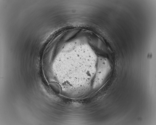 X0000113200592200910011258