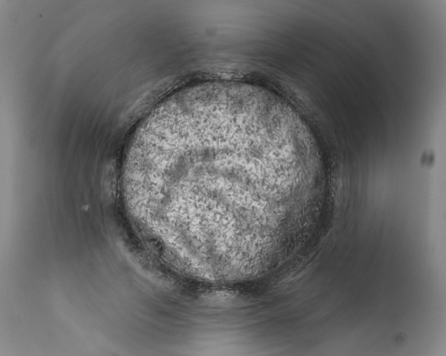 X0000113200594200910011258