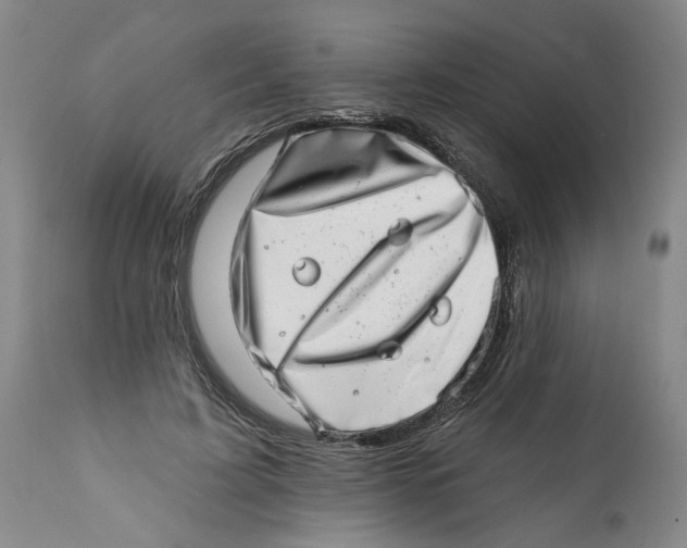 X0000113200595200910011258