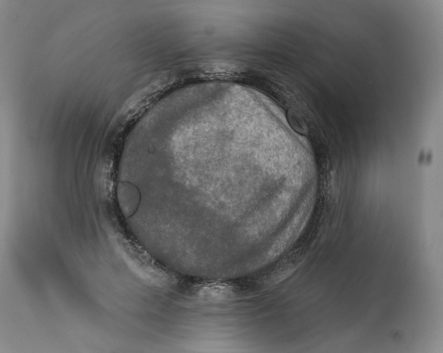 X0000113200599200910011258