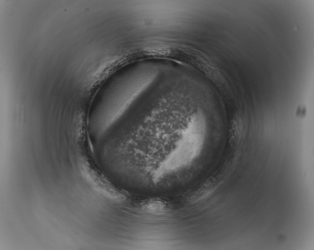 X0000113200600200910011258