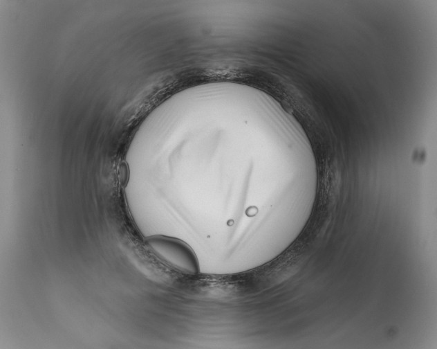 X0000113200601200910011258