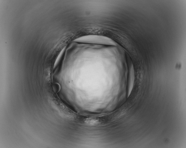 X0000113200602200910011258