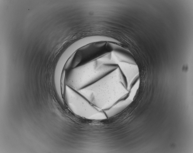 X0000113200603200910011258