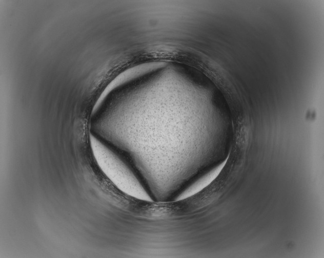 X0000113200604200910011258