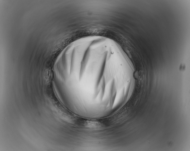 X0000113200605200910011258