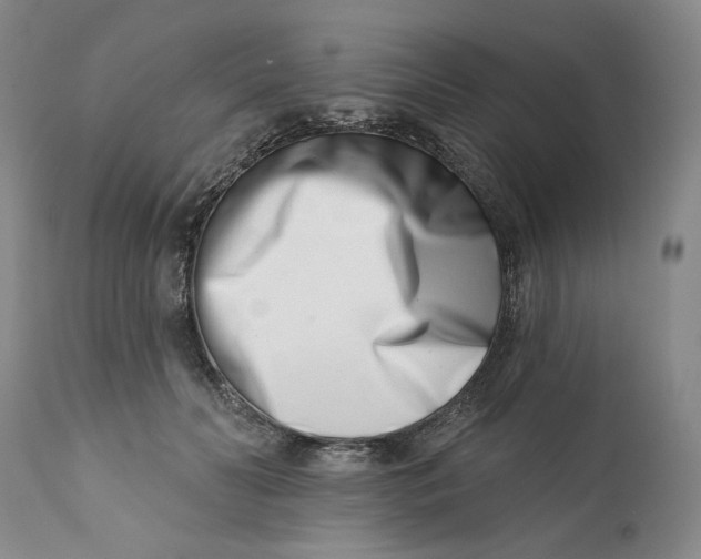 X0000113200606200910011258