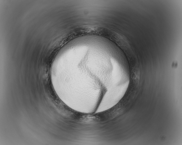 X0000113200607200910011258