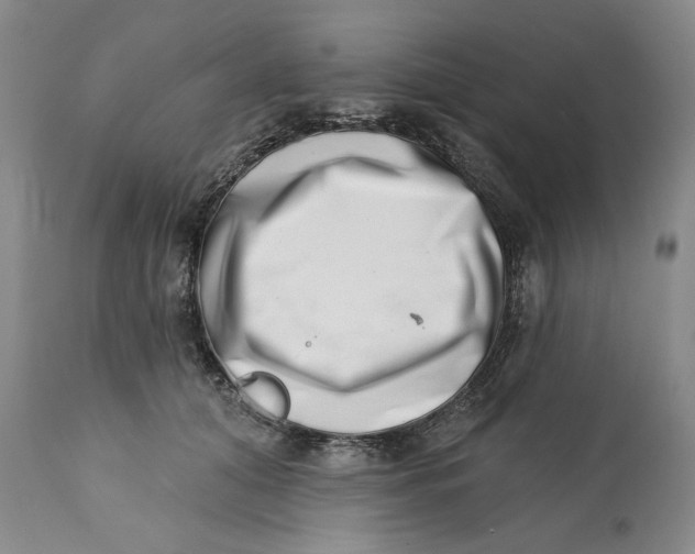 X0000113200608200910011258