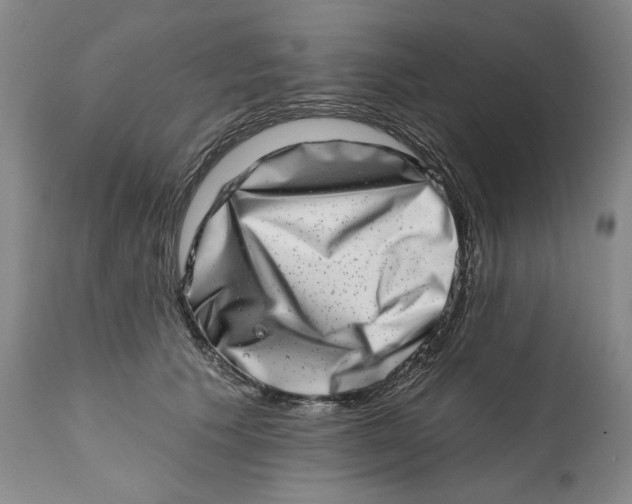 X0000113200609200910011258