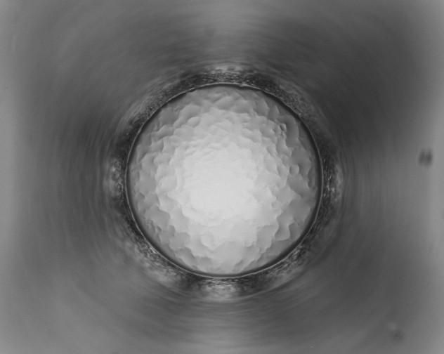 X0000113200610200910011258