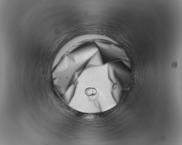 X0000113200611200910011258