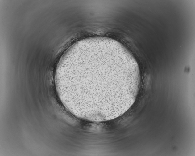 X0000113200612200910011258