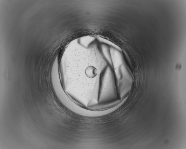 X0000113200613200910011258