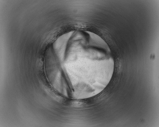 X0000113200614200910011258