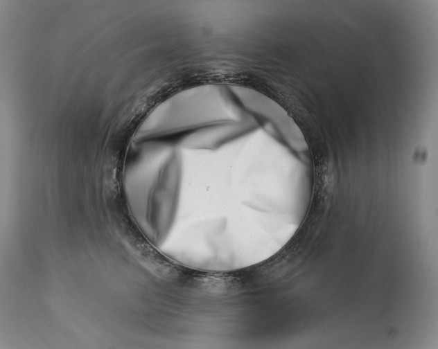 X0000113200615200910011258