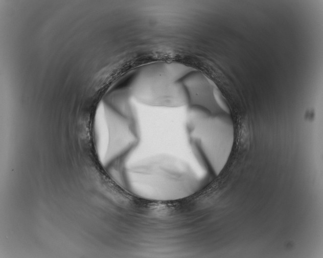 X0000113200616200910011258