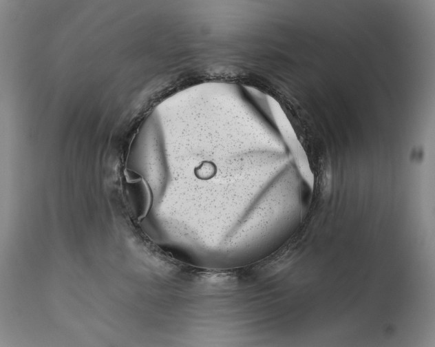 X0000113200619200910011257