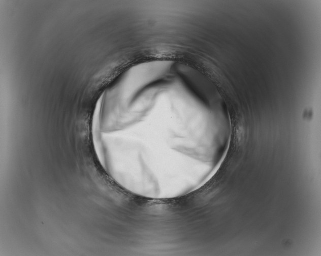 X0000113200620200910011257