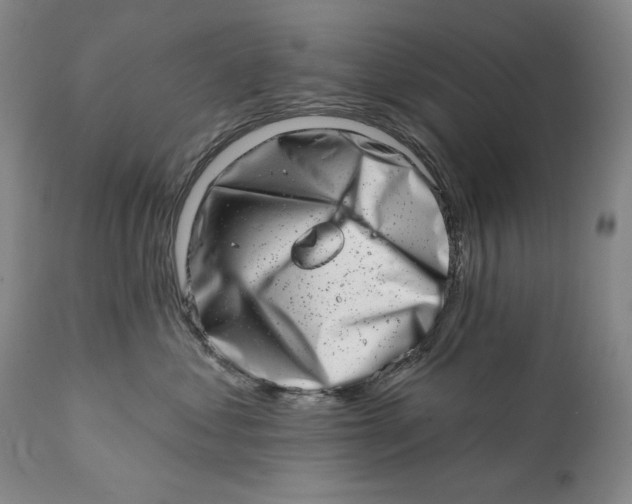 X0000113200621200910011257