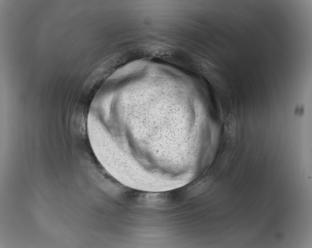 X0000113200622200910011257