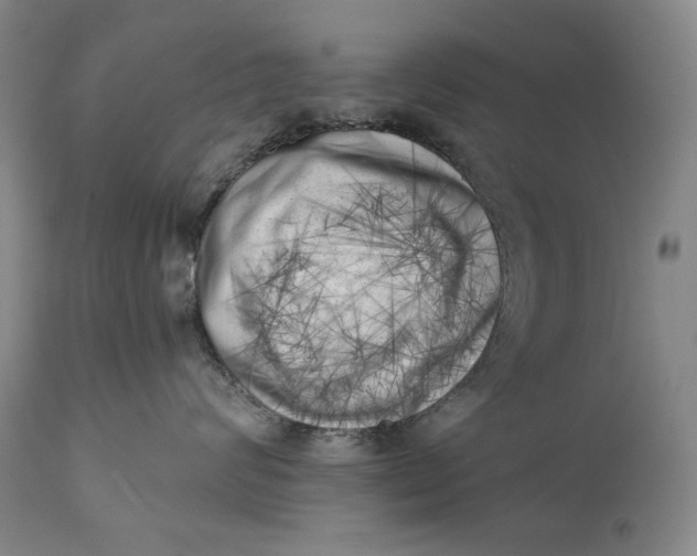 X0000113200624200910011257