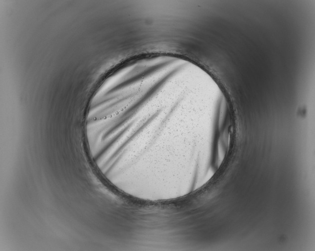 X0000113200625200910011256