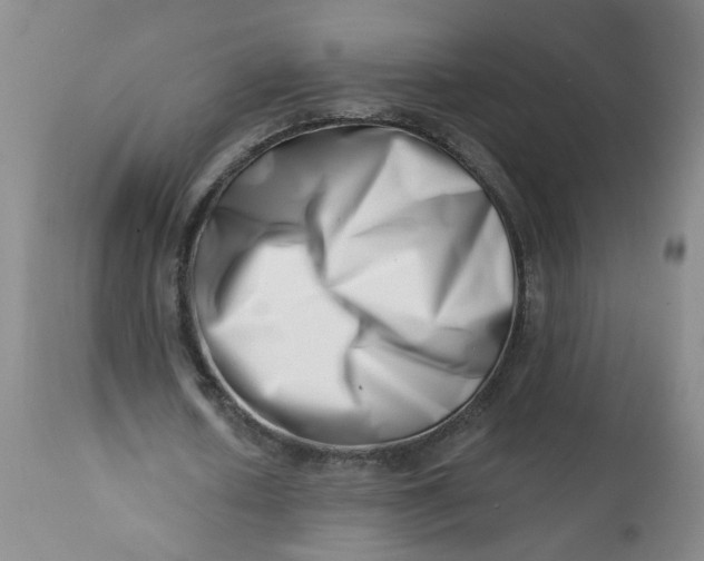 X0000113200626200910011256