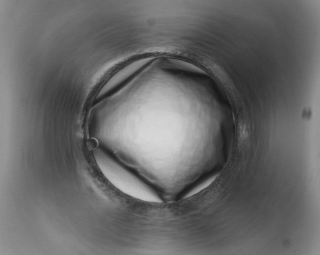 X0000113200628200910011256