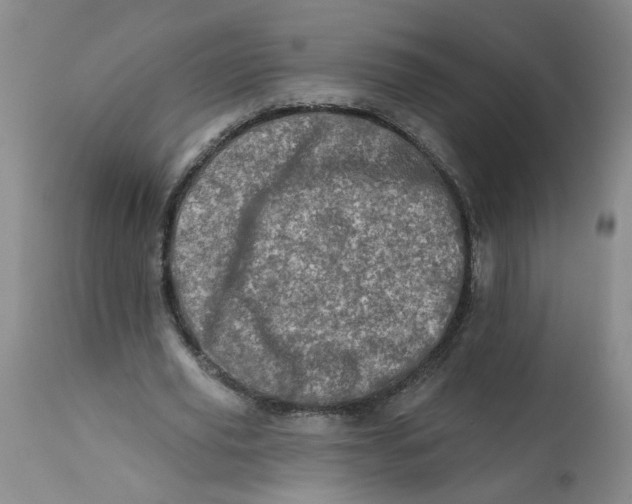 X0000113200629200910011256