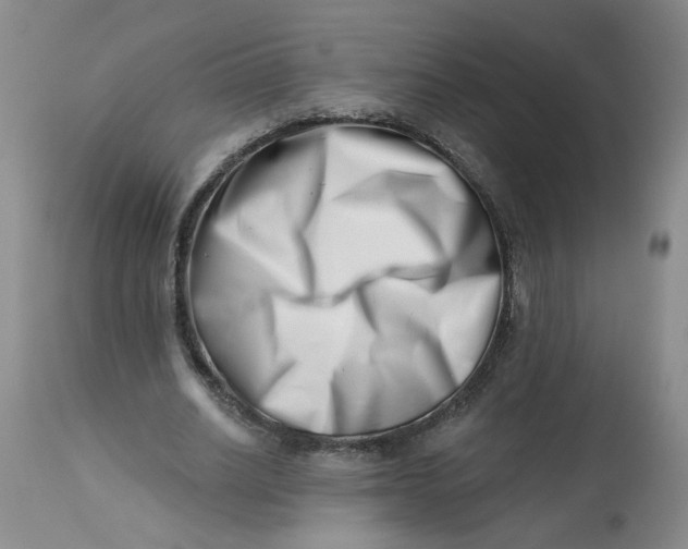 X0000113200630200910011256