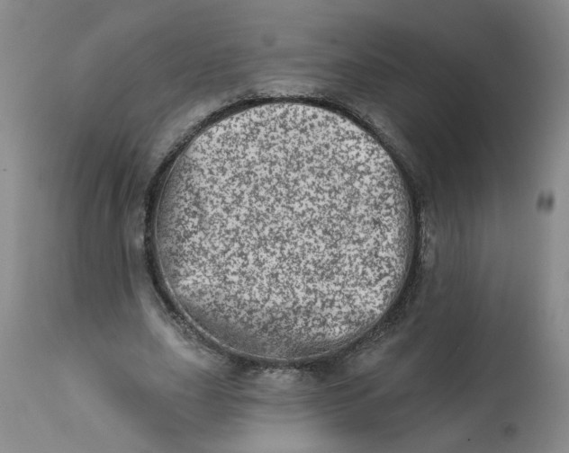 X0000113200631200910011256