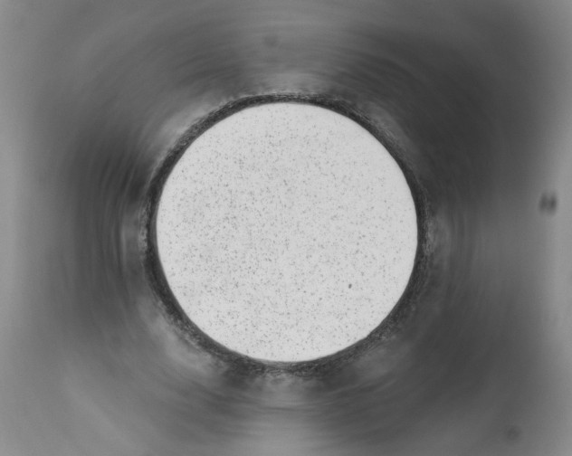 X0000113200632200910011256