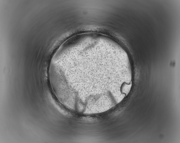 X0000113200633200910011257