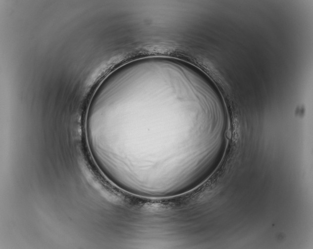 X0000113200634200910011257