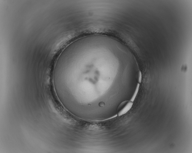 X0000113200635200910011257